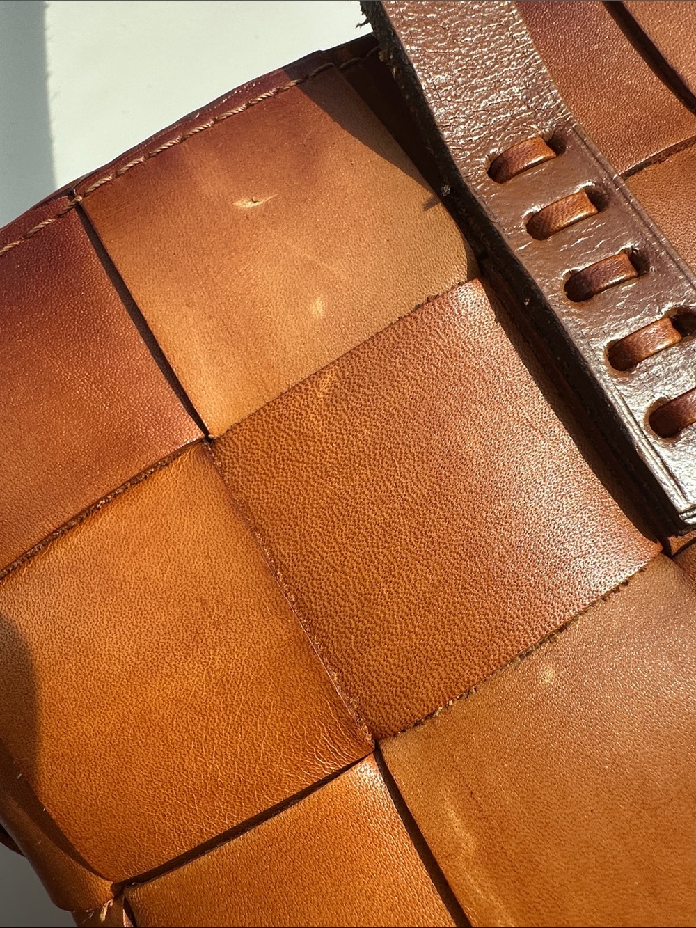 Dragon Diffusion Brown Leather Japan Tote - Picture 6 of 8